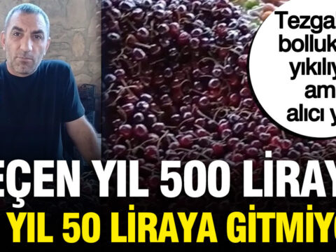 35 yillik esnaf isyan etti gecen yil kilosu 500 liraydi bu yil 50 liraya IeKlcgSm